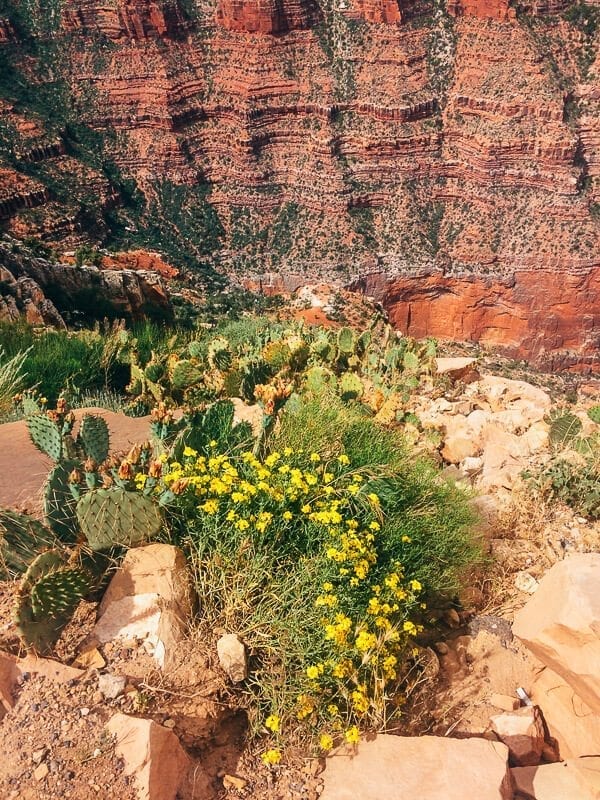 Hiking Grand Canyon, by bmeteor.aiodimecu.cf