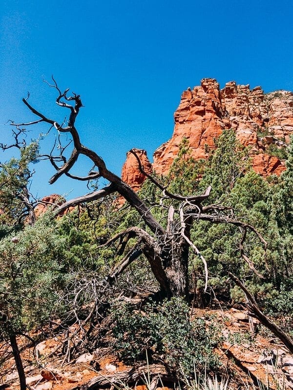 Sedona, by bmeteor.aiodimecu.cf