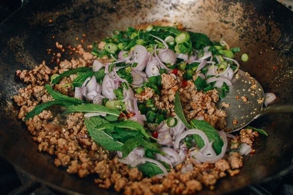 Pork Larb, The National Dish of Laos, by bmeteor.aiodimecu.cf