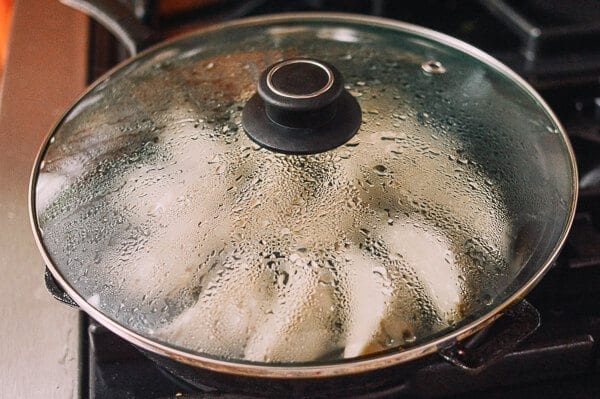 Steaming dumplings in frying pan, bmeteor.aiodimecu.cf