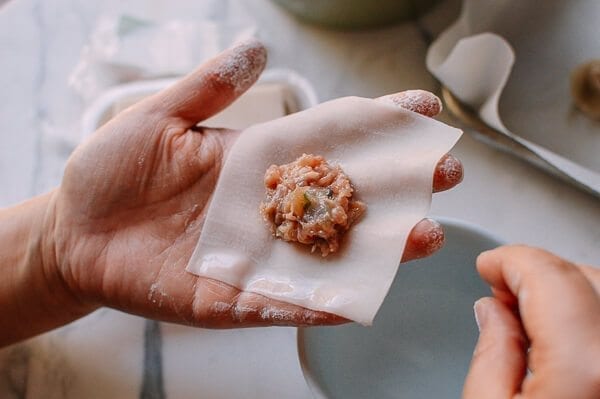 San Xian Wontons (Shrimp, Pork & Chicken Wontons), by bmeteor.aiodimecu.cf