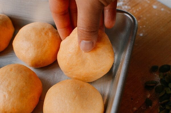 Pumpkin Dinner Rolls, by bmeteor.aiodimecu.cf