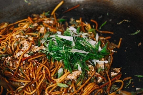 Turkey Lo Mein, by bmeteor.aiodimecu.cf
