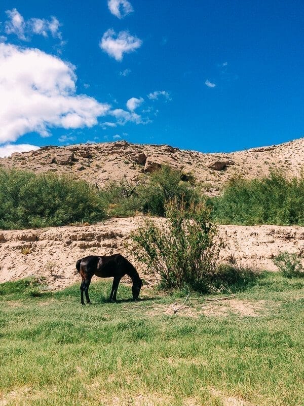 Spirit Horse Boquillas Canyon, Big Bend National Park - bmeteor.aiodimecu.cf
