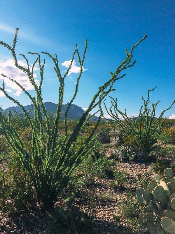 Big Bend National Park, by bmeteor.aiodimecu.cf