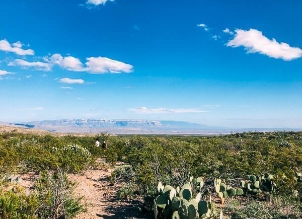 Big Bend National Park, by bmeteor.aiodimecu.cf