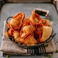 Cream Cheese Wontons, by bmeteor.aiodimecu.cf