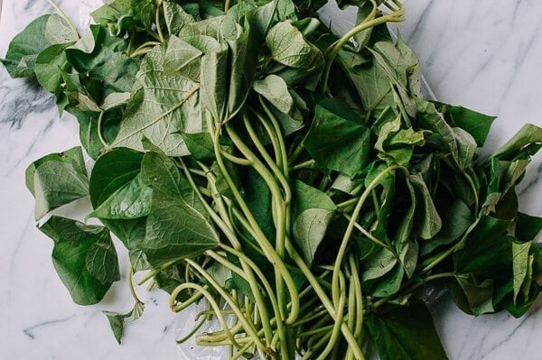 Chinese Vegetables: yam leaves or sweet potato leaves, by bmeteor.aiodimecu.cf