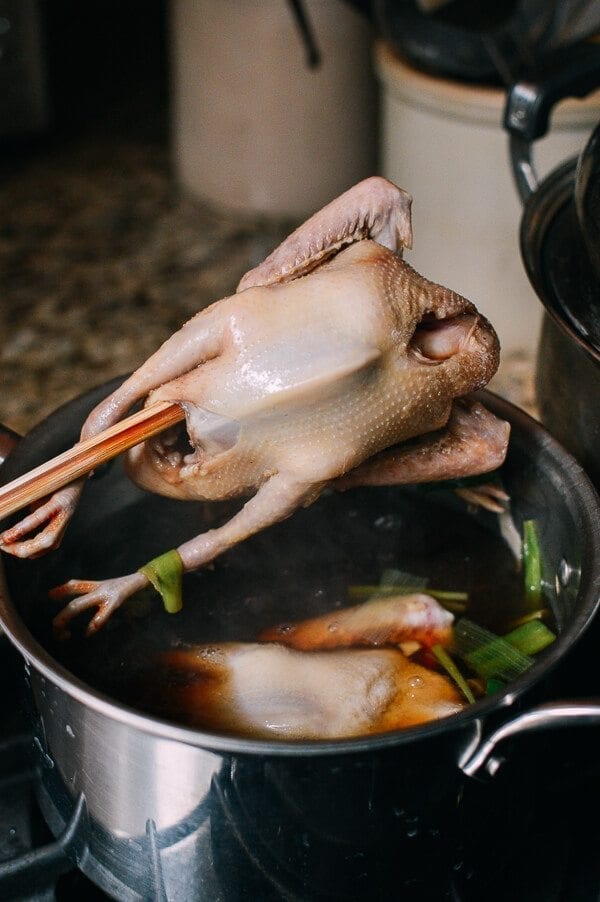 Chinese Fried Pigeon (Squab), by bmeteor.aiodimecu.cf