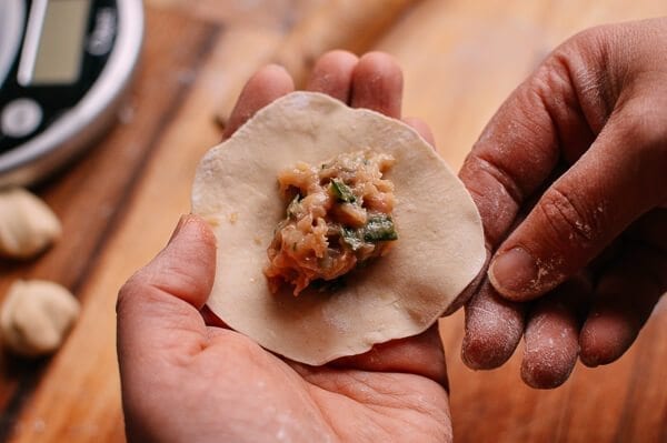 Shandong Pork and Fish Dumplings, by bmeteor.aiodimecu.cf