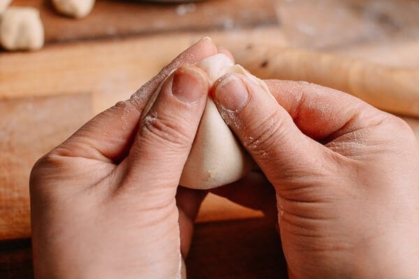 Shandong Pork and Fish Dumplings, by bmeteor.aiodimecu.cf