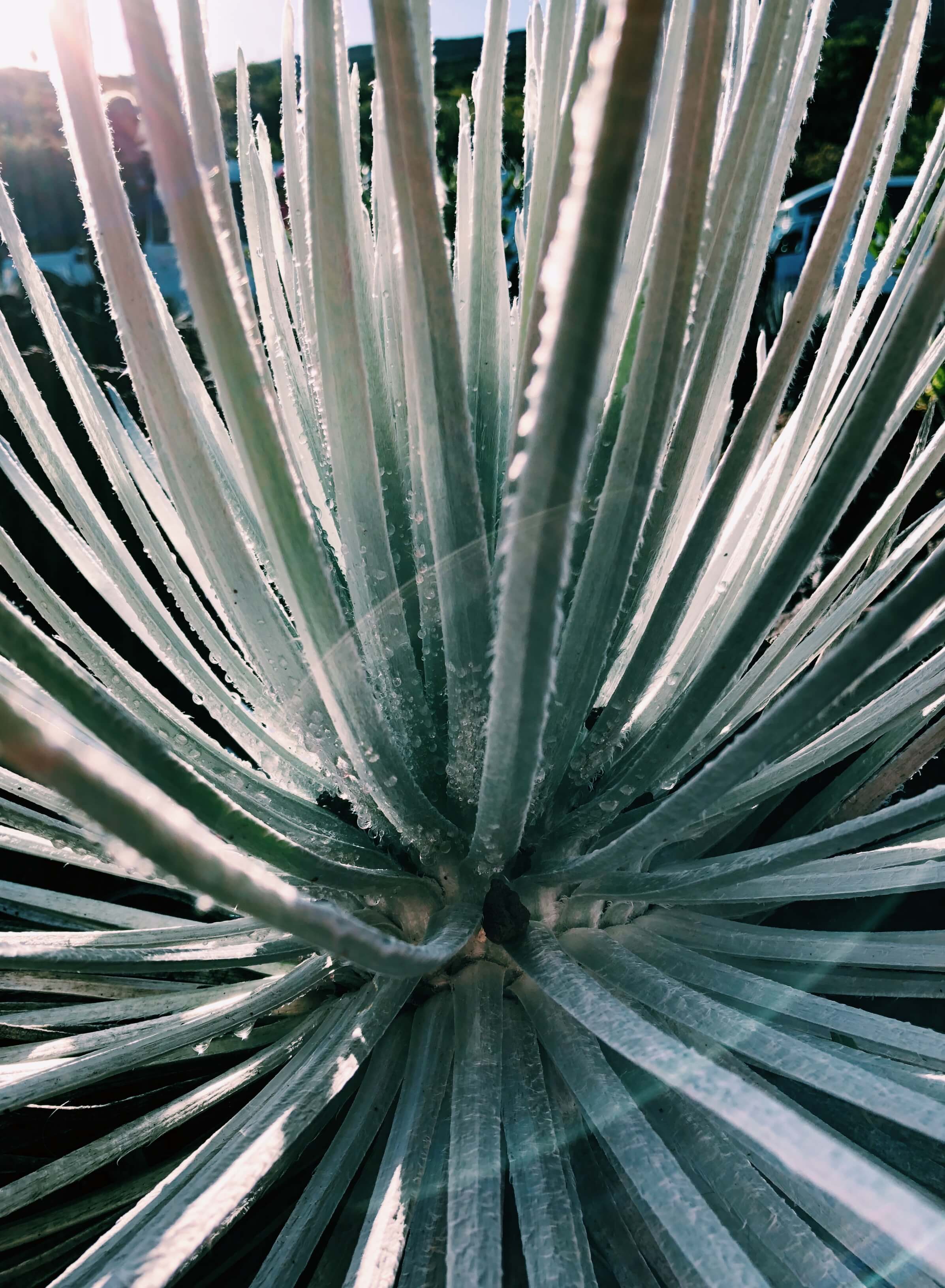 23 Things to Do in Maui, by bmeteor.aiodimecu.cf