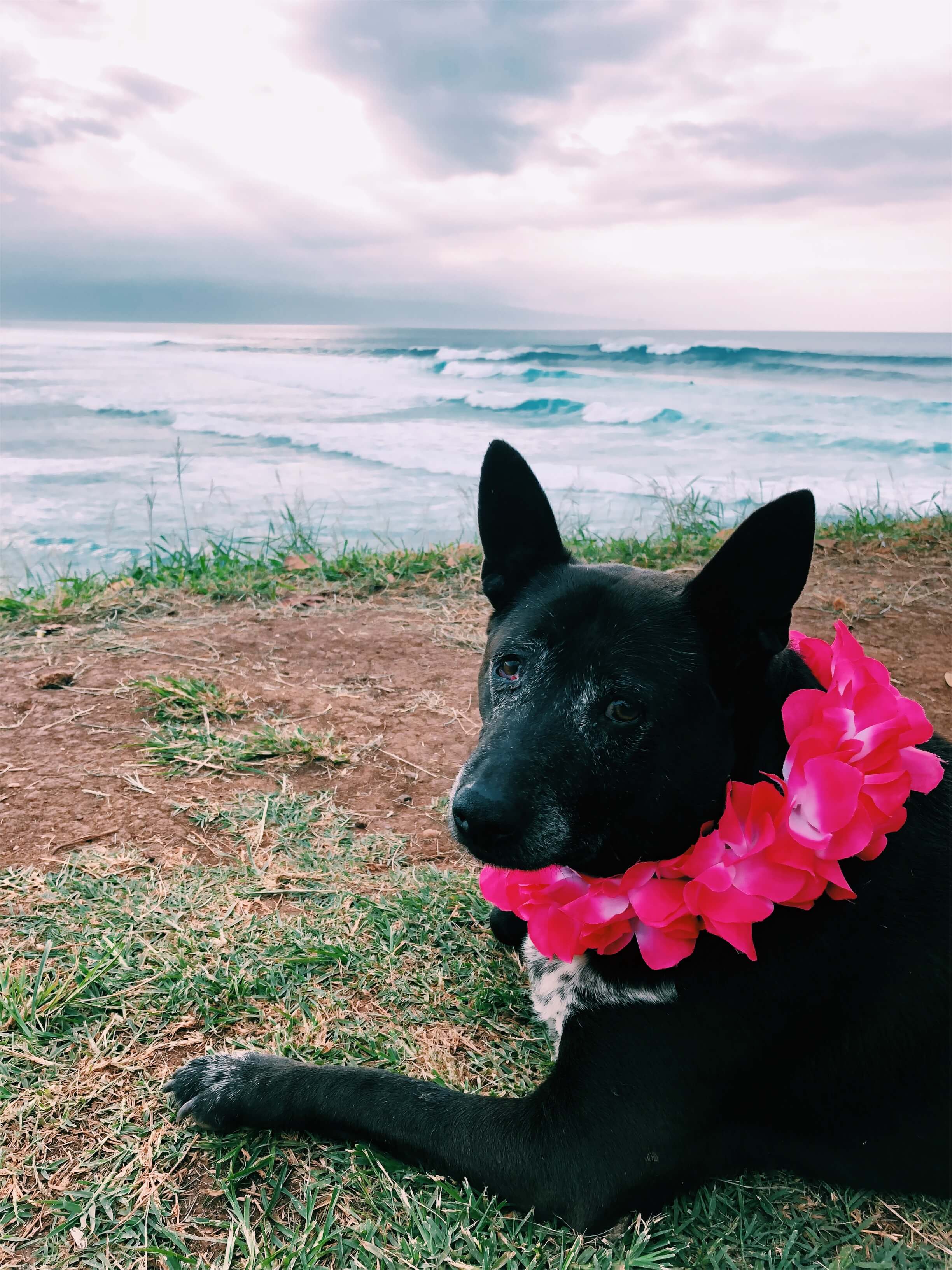 23 Things to Do in Maui, by bmeteor.aiodimecu.cf