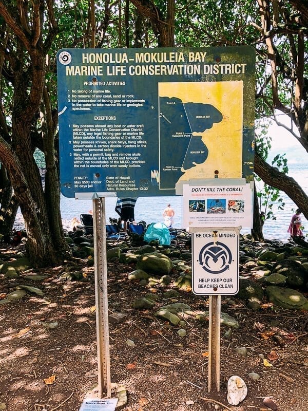 23 Things to Do in Maui, by bmeteor.aiodimecu.cf