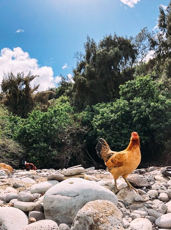 23 Things to Do in Maui, by bmeteor.aiodimecu.cf