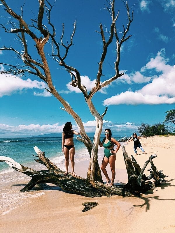 23 Things to Do in Maui, by bmeteor.aiodimecu.cf