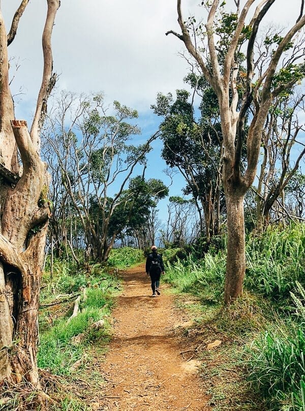 23 Things to Do in Maui, by bmeteor.aiodimecu.cf