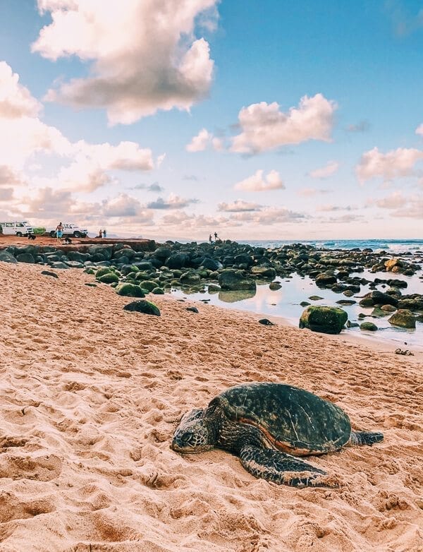 23 Things to Do in Maui, by bmeteor.aiodimecu.cf