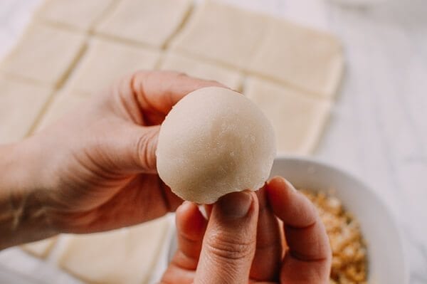 Coconut Peanut Mochi (糯米糍), by bmeteor.aiodimecu.cf