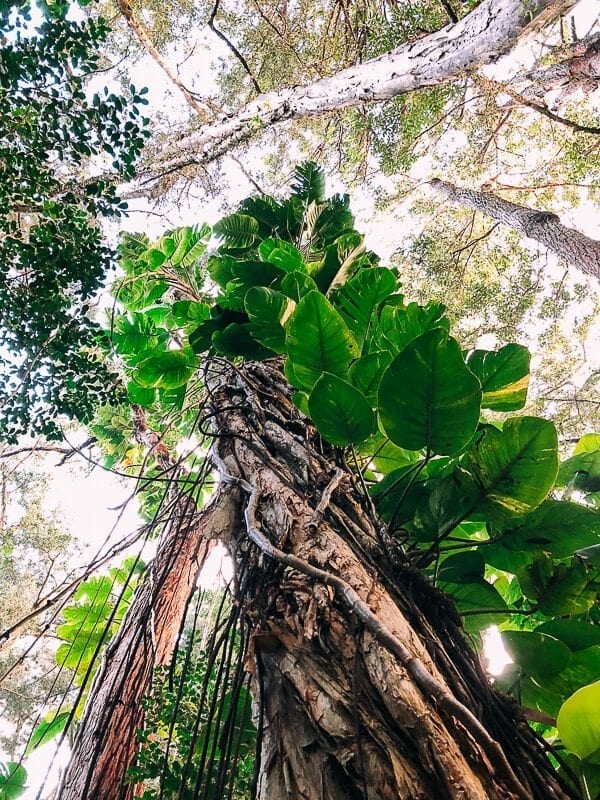 23 Things to Do in Maui, by bmeteor.aiodimecu.cf