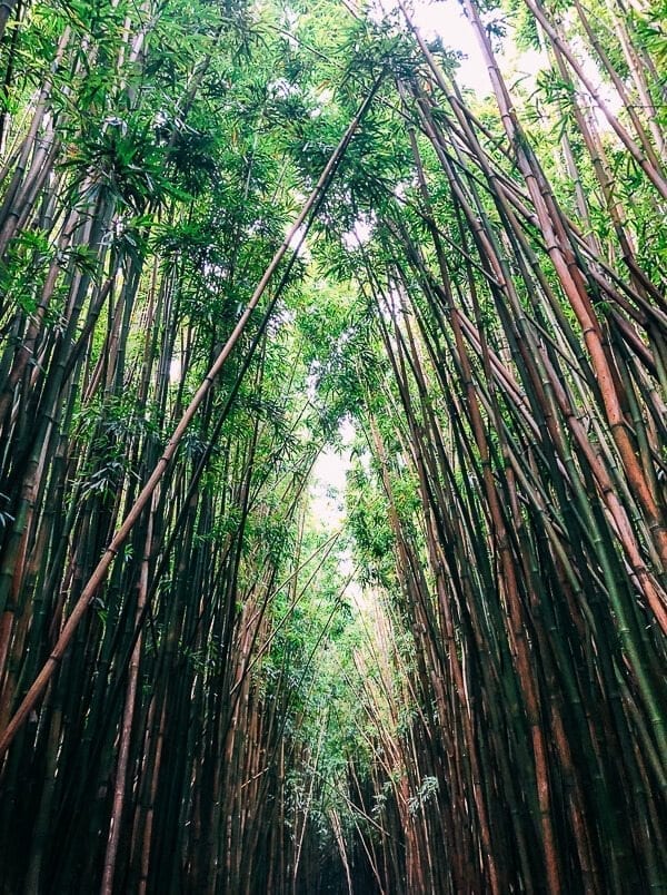Pipiwai Trail