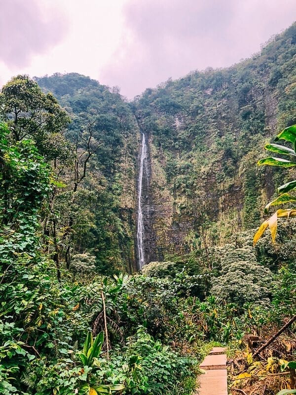 Pipiwai Trail