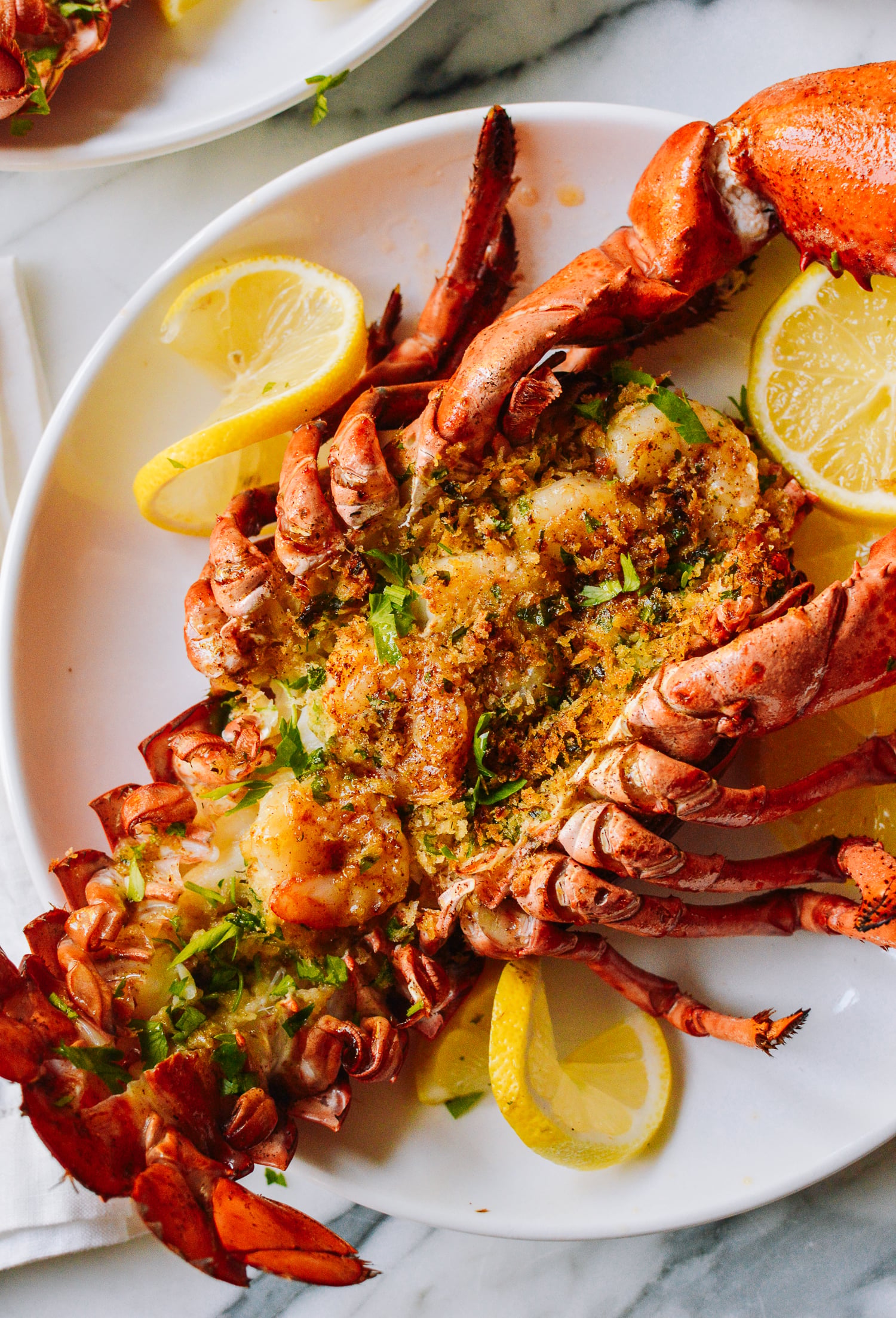 Baked Stuffed Lobster with Shrimp, by bmeteor.aiodimecu.cf