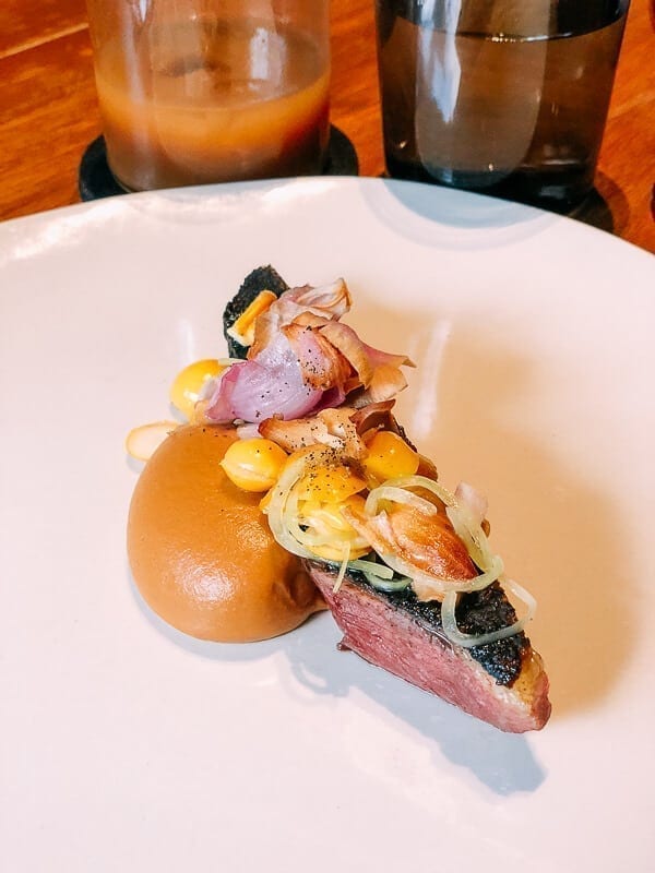 Pujol Duck