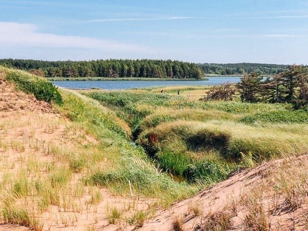 Prince Edward Island Canada - Red Cliffs and Potatoes by bmeteor.aiodimecu.cf