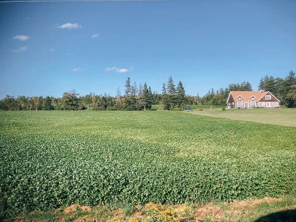 Prince Edward Island Canada - Red Cliffs and Potatoes by bmeteor.aiodimecu.cf