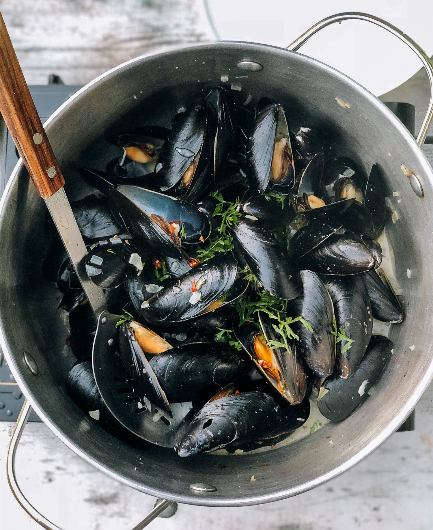 Steamed Mussels, by bmeteor.aiodimecu.cf