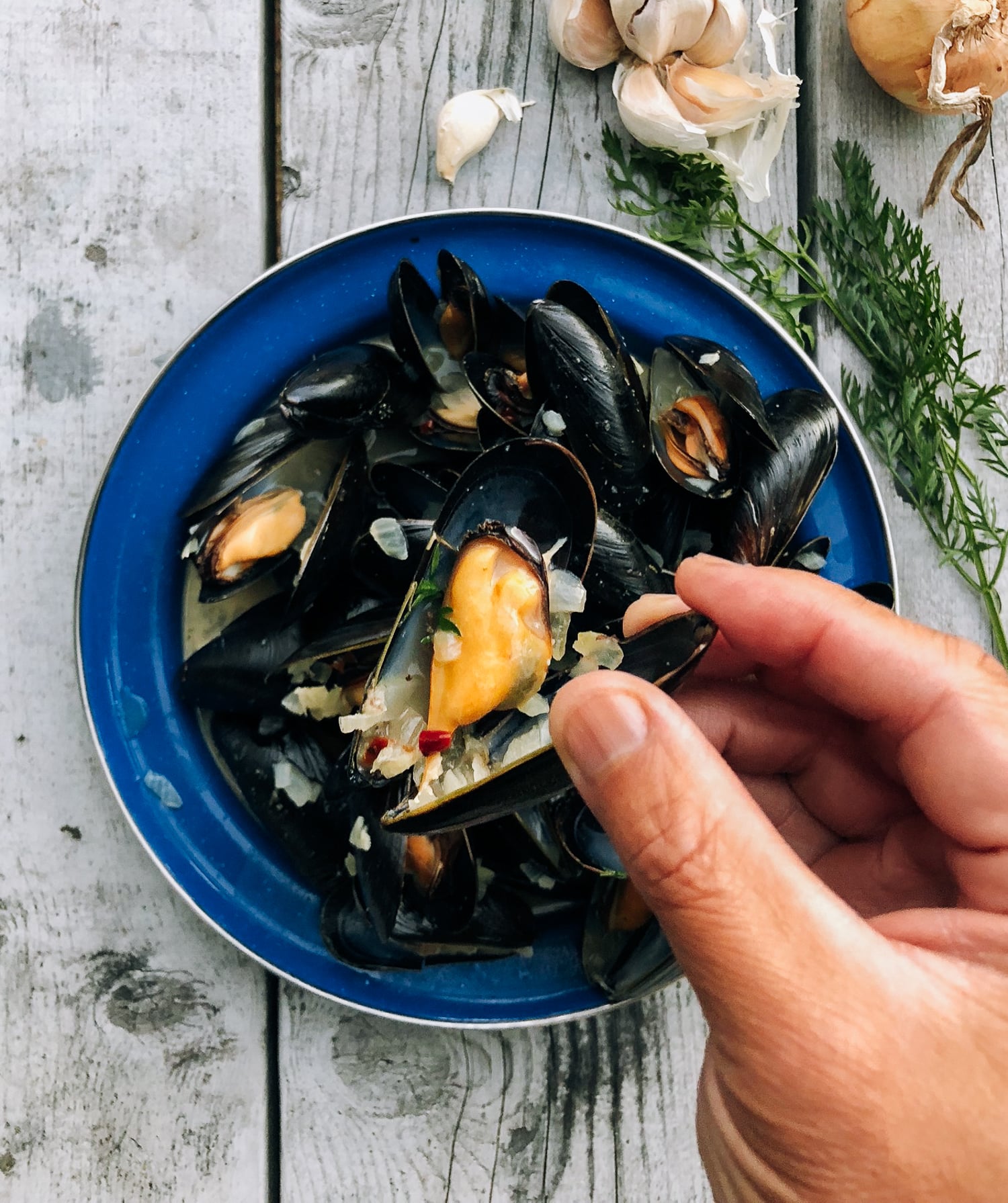 Steamed Mussels, by bmeteor.aiodimecu.cf