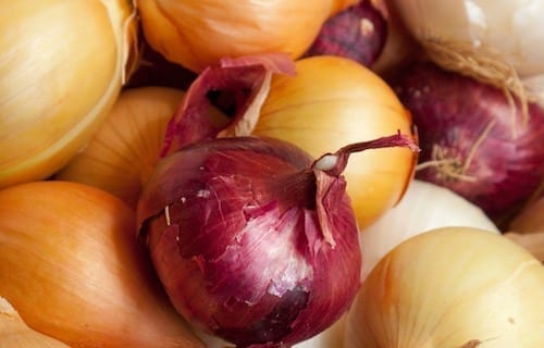 Onions by bmeteor.aiodimecu.cf