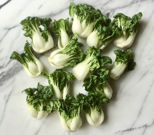 dwarf bok choy by bmeteor.aiodimecu.cf