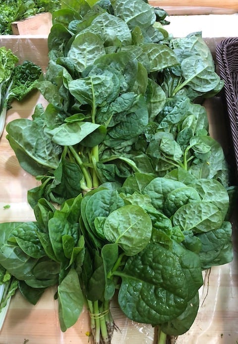 malabar-spinach by bmeteor.aiodimecu.cf