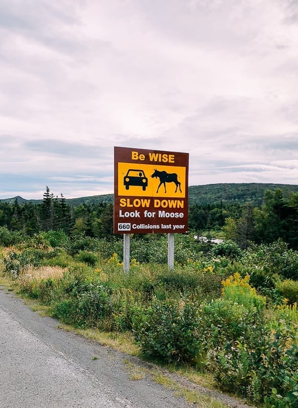Newfoundland Canada - The Rock by bmeteor.aiodimecu.cf