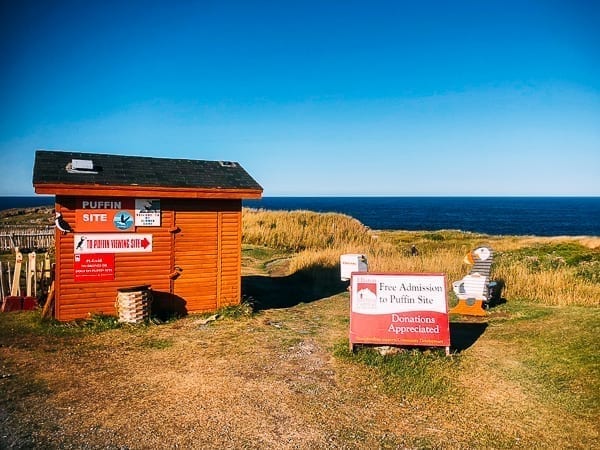 Newfoundland Canada - The Rock by bmeteor.aiodimecu.cf