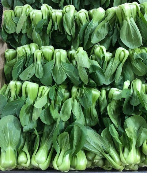 shanghai-baby-bok-choy by bmeteor.aiodimecu.cf