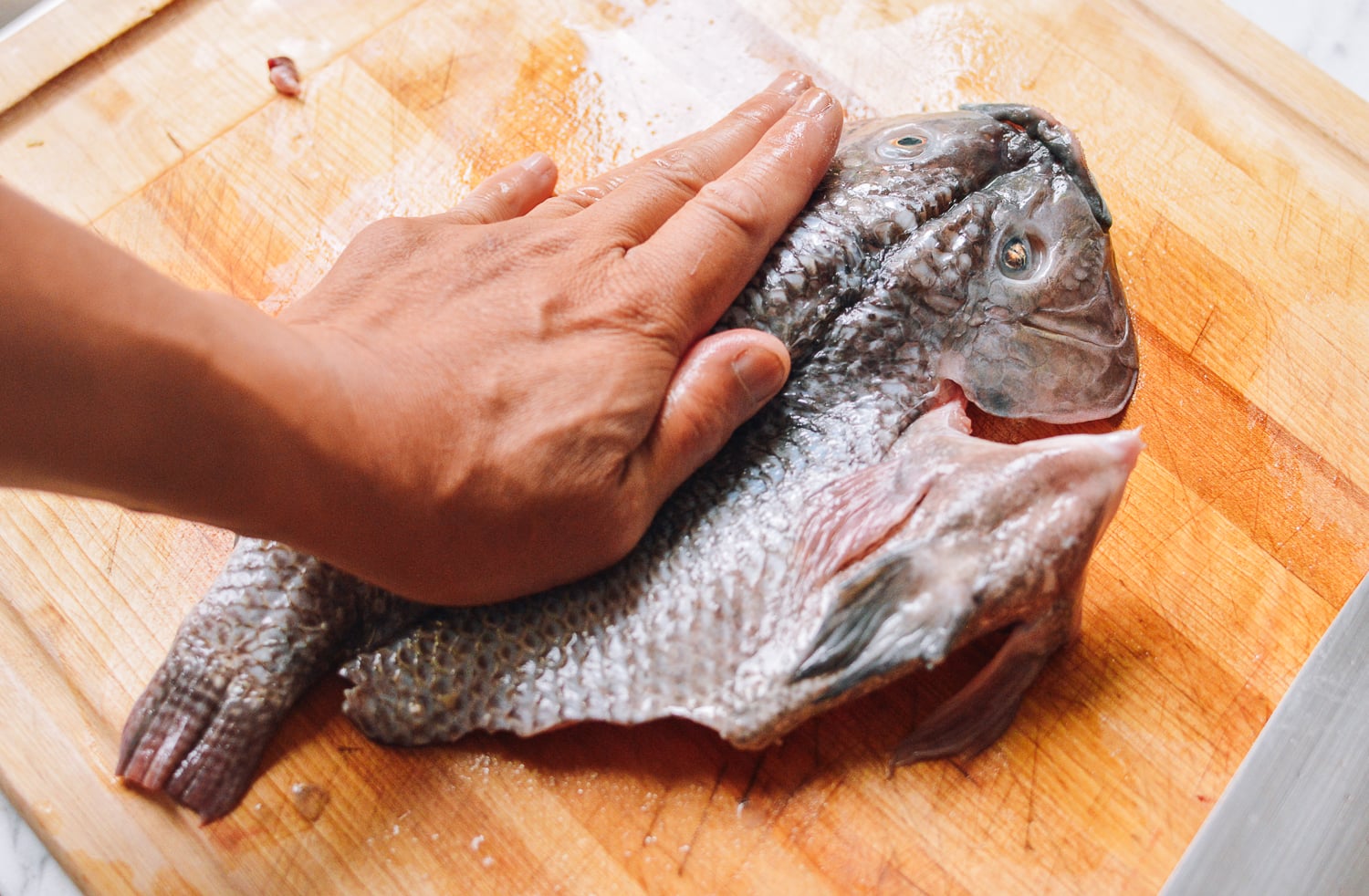 Steamed Tilapia: Hunan-Style Whole Fish, by bmeteor.aiodimecu.cf