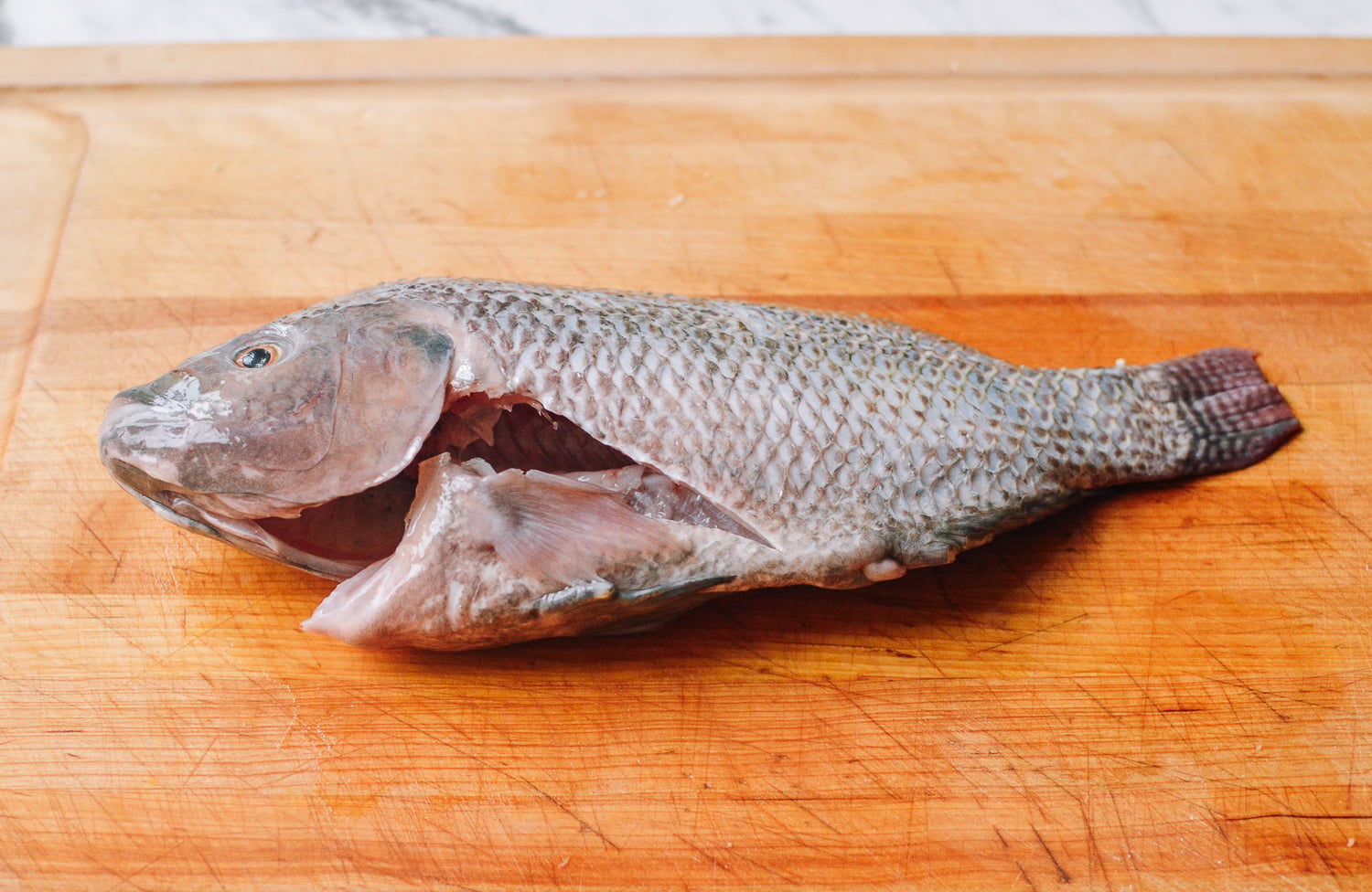 Steamed Tilapia: Hunan-Style Whole Fish, by bmeteor.aiodimecu.cf