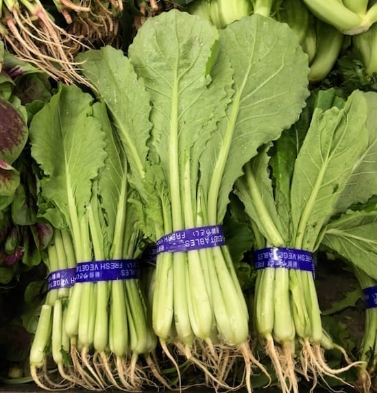 little bok choy (xiao-bai-cai) by bmeteor.aiodimecu.cf
