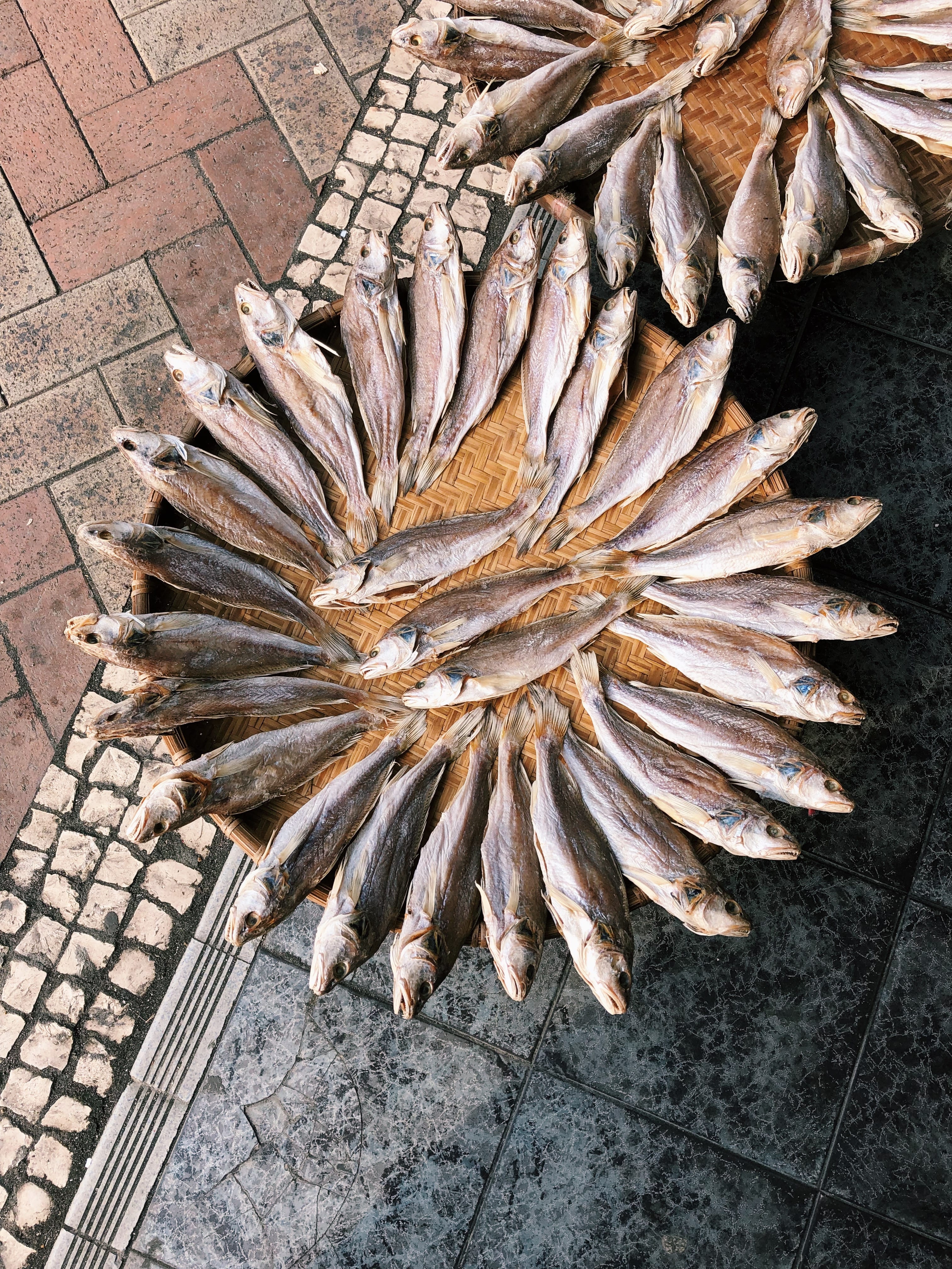 What to Eat in Macau by bmeteor.aiodimecu.cf