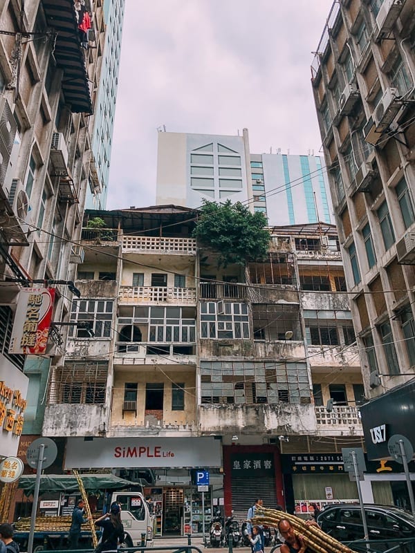 What to Eat in Macau by bmeteor.aiodimecu.cf