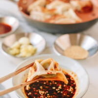 Dumpling Sauce, by bmeteor.aiodimecu.cf