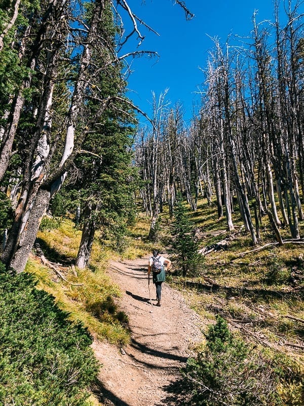 Avalanche Peak Hike, bmeteor.aiodimecu.cf