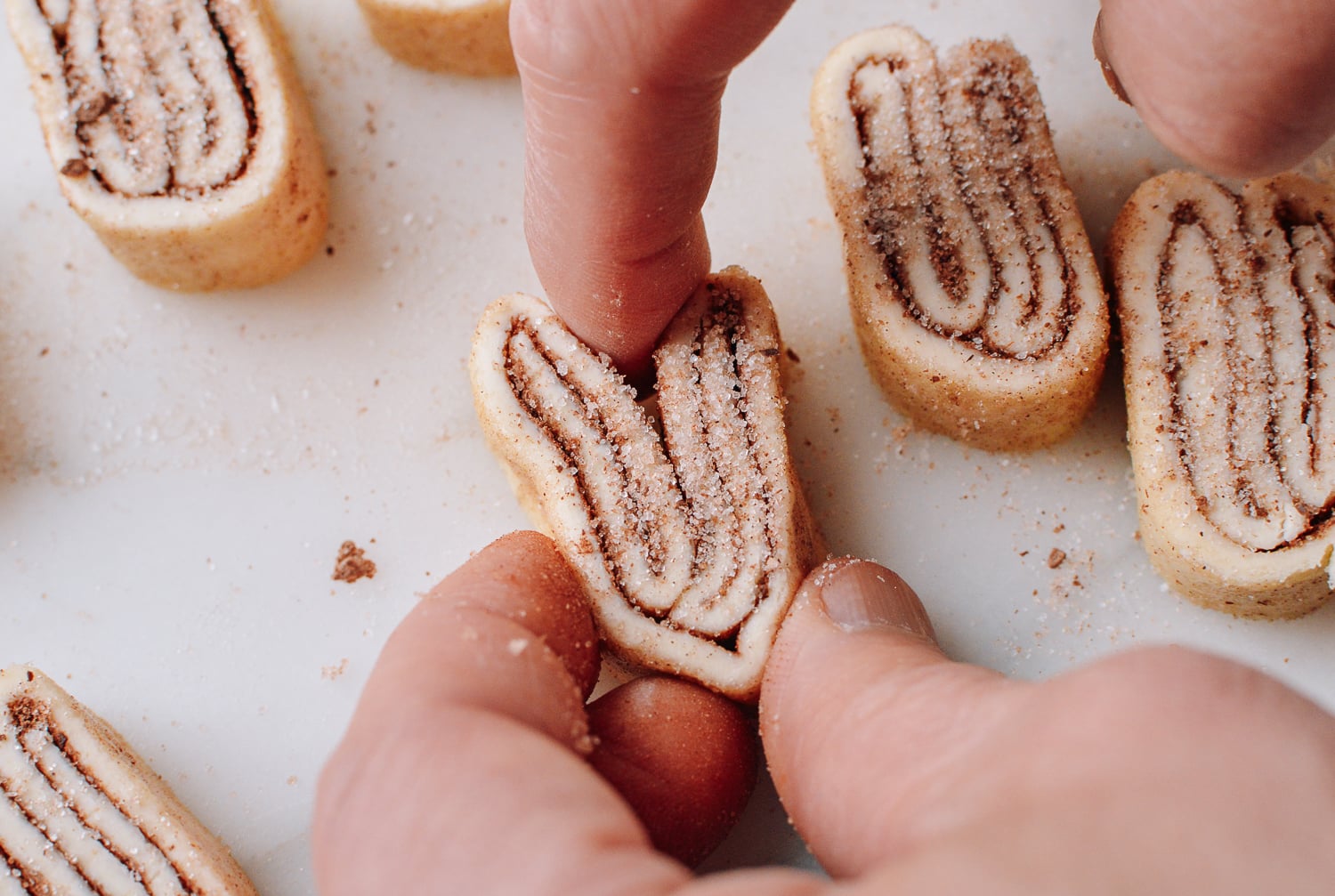 Chocolate palmiers before baking, bmeteor.aiodimecu.cf
