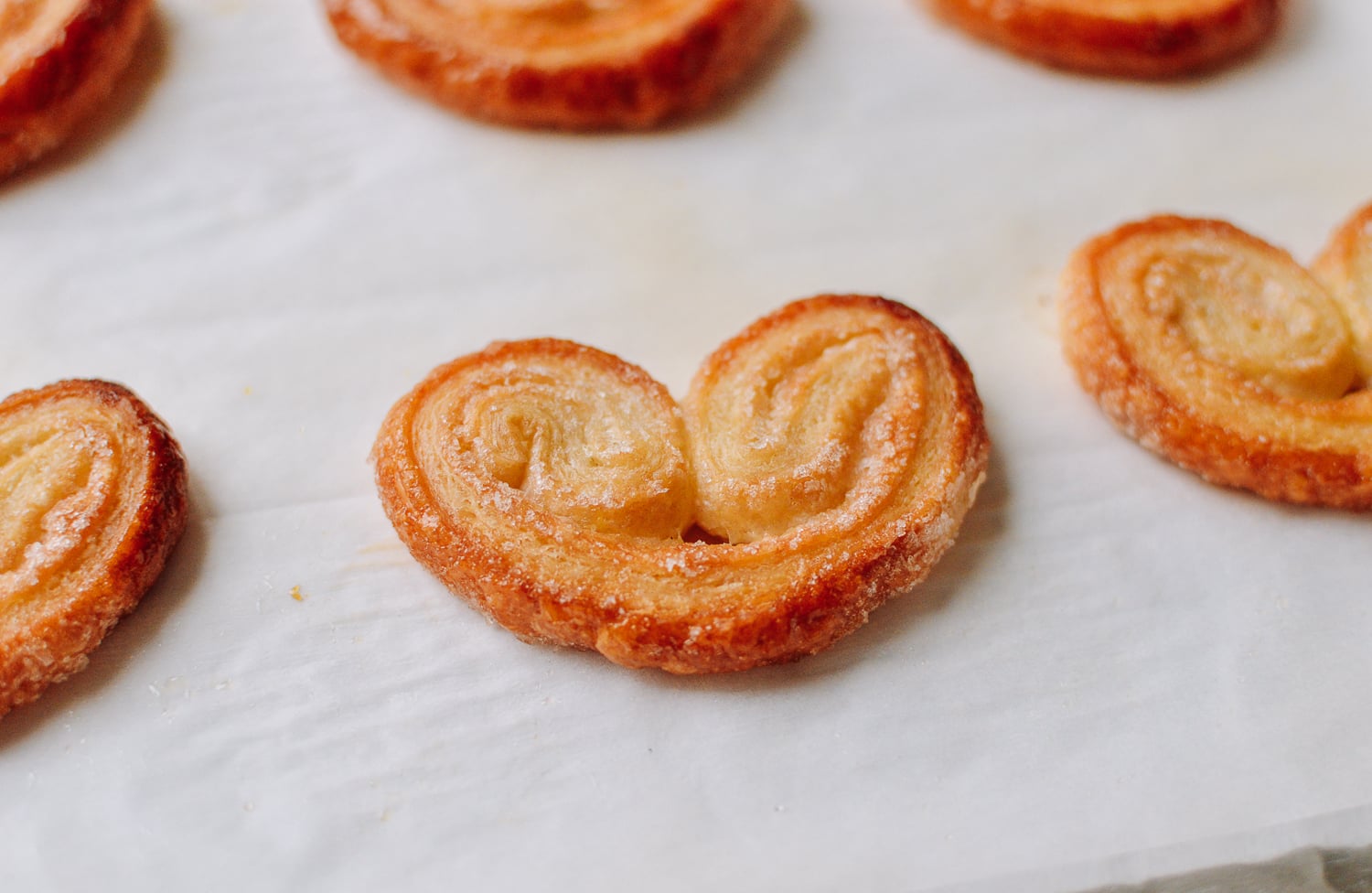 Classic Palmier, bmeteor.aiodimecu.cf
