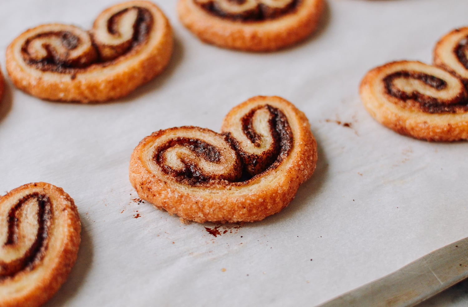 Chocolate Palmier, bmeteor.aiodimecu.cf