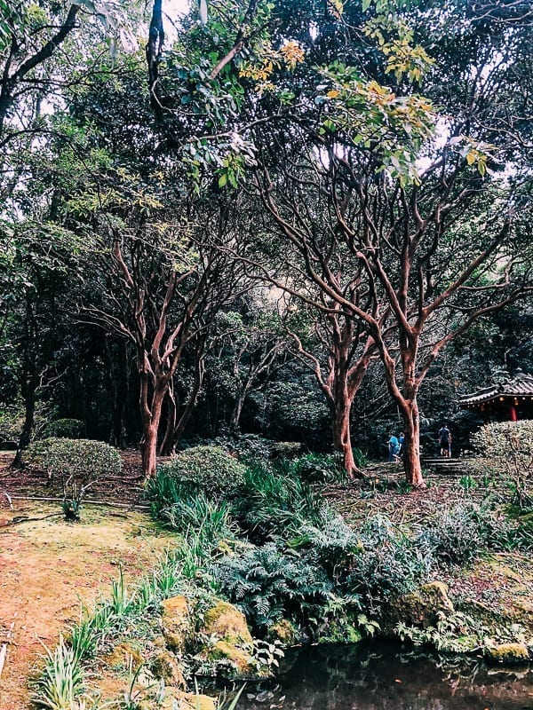 Byodo In Temple Gardens, bmeteor.aiodimecu.cf