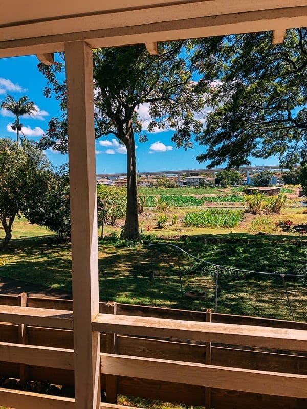 Hawaii Planation Village outside, bmeteor.aiodimecu.cf